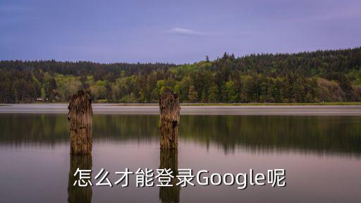 mumu手游助手怎么登录谷歌，怎么才能登录Google呢