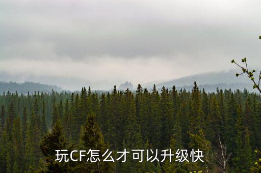 玩CF怎么才可以升级快