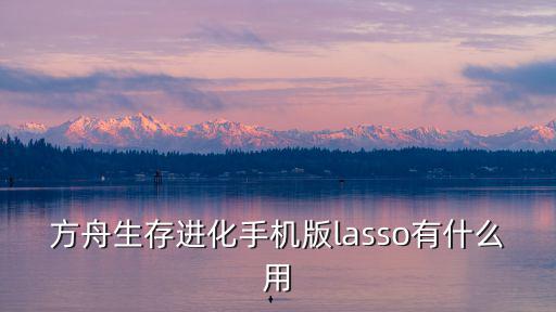 方舟生存进化手机版lasso有什么用