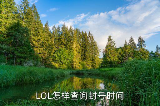 LOL怎样查询封号时间