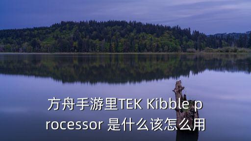 方舟手游里TEK Kibble processor 是什么该怎么用