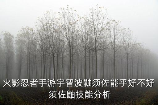 火影忍者手游宇智波鼬须佐能乎好不好 须佐鼬技能分析