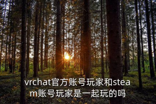 vrchat官方账号玩家和steam账号玩家是一起玩的吗