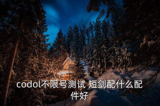 codol不限号测试 短剑配什么配件好