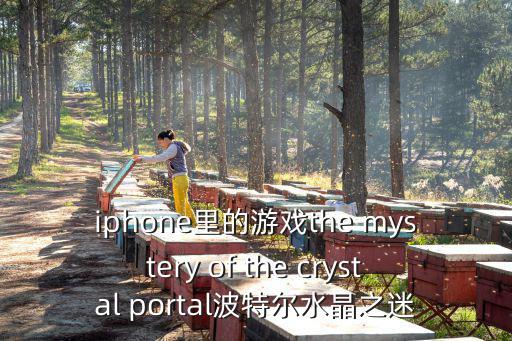 iphone里的游戏the mystery of the crystal portal波特尔水晶之迷