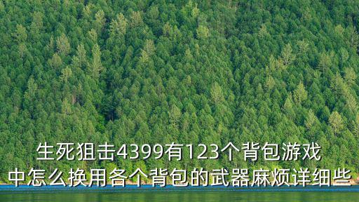 生死狙击4399有123个背包游戏中怎么换用各个背包的武器麻烦详细些