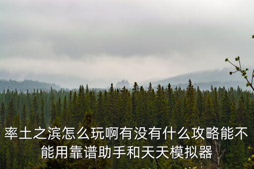 率土之滨怎么玩啊有没有什么攻略能不能用靠谱助手和天天模拟器