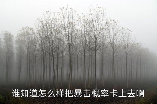 谁知道怎么样把暴击概率卡上去啊