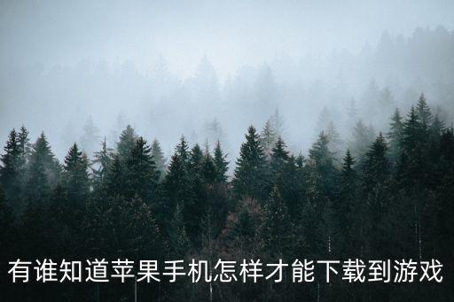 苹果玩英雄联盟手游怎么下载，苹果手机怎么下载游戏