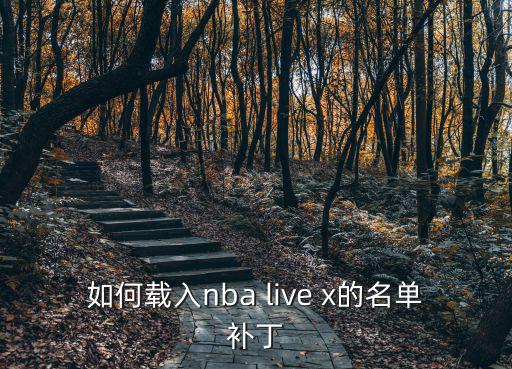 如何载入nba live x的名单补丁