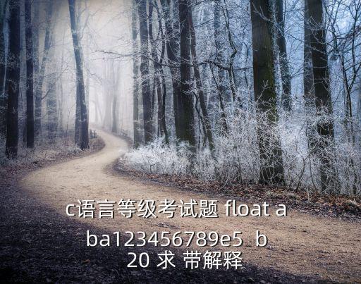 c语言等级考试题 float a ba123456789e5  b   20 求 带解释