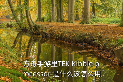 方舟手游里TEK Kibble processor 是什么该怎么用