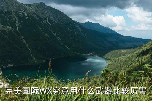 完美国际WX究竟用什么武器比较厉害