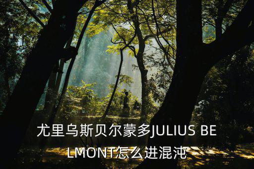 尤里乌斯贝尔蒙多JULIUS BELMONT怎么进混沌