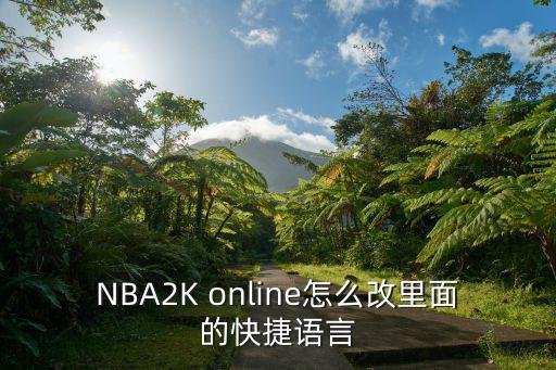 NBA2K online怎么改里面的快捷语言