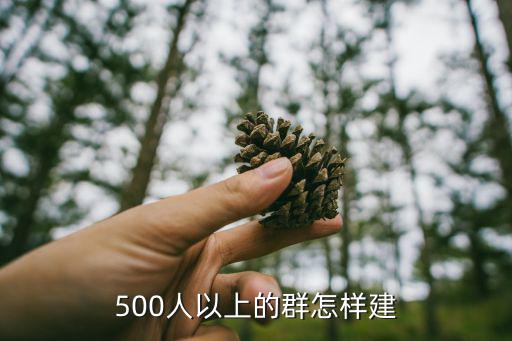 500人以上的群怎样建