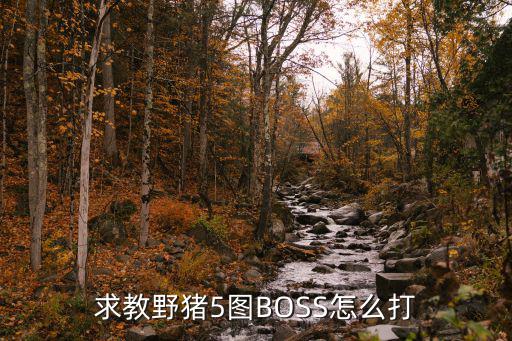 求教野猪5图BOSS怎么打