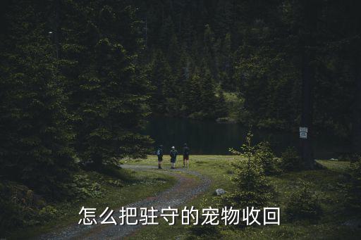 怎么把驻守的宠物收回