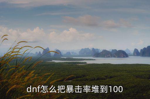 dnf怎么把暴击率堆到100