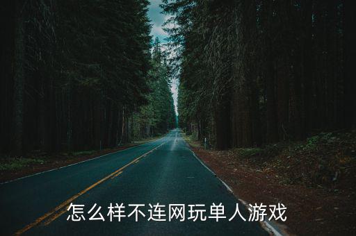 怎么样不连网玩单人游戏