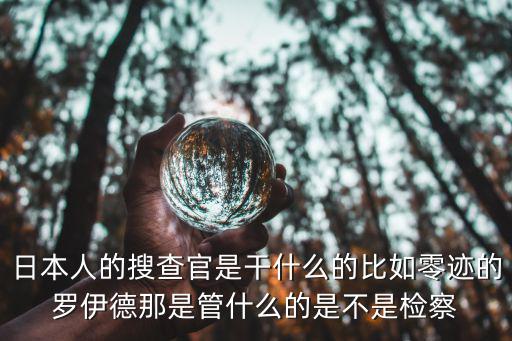 日本人的搜查官是干什么的比如零迹的罗伊德那是管什么的是不是检察