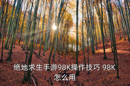 绝地求生手游98K操作技巧 98K怎么用