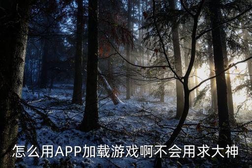 怎么用APP加载游戏啊不会用求大神