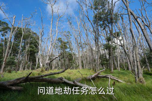 问道手游怎么做地劫，问道地劫指引