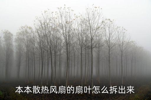 本本散热风扇的扇叶怎么拆出来