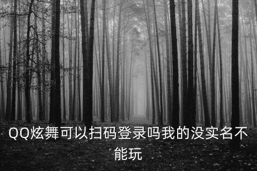 QQ炫舞可以扫码登录吗我的没实名不能玩