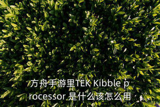 方舟手游里TEK Kibble processor 是什么该怎么用