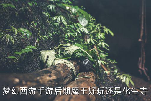 梦幻西游手游后期魔王好玩还是化生寺