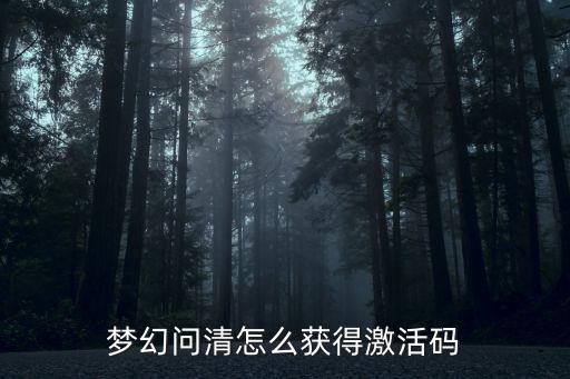 梦幻问清怎么获得激活码