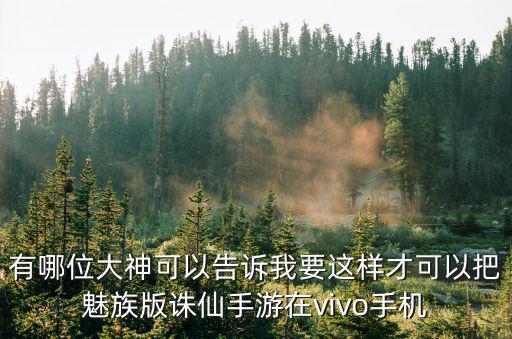 有哪位大神可以告诉我要这样才可以把魅族版诛仙手游在vivo手机