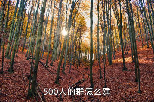 500人的群怎么建