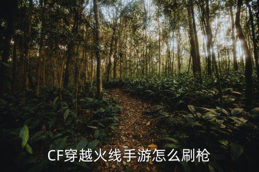 CF穿越火线手游怎么刷枪