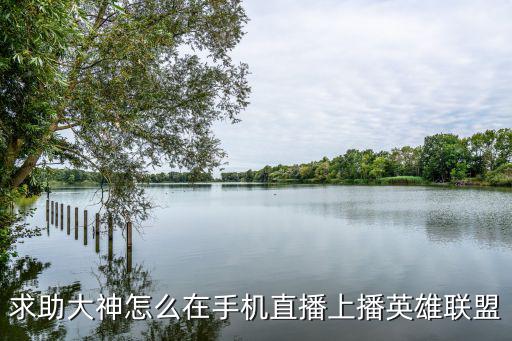 抖音手游直播英雄联盟怎么弄，求助大神怎么在手机直播上播英雄联盟