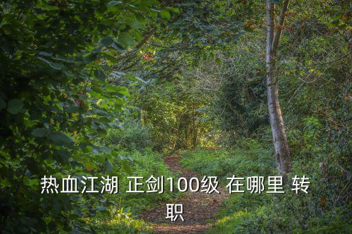 热血江湖 正剑100级 在哪里 转职