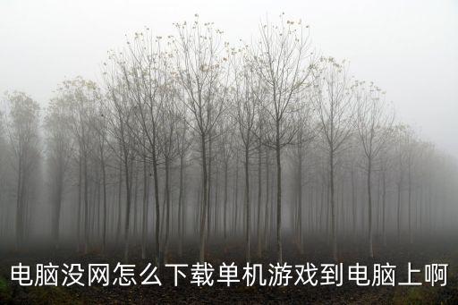 电脑没网怎么下载单机游戏到电脑上啊