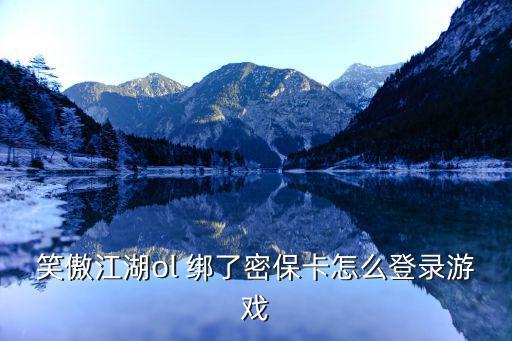 笑傲江湖ol 绑了密保卡怎么登录游戏