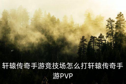 轩辕传奇手游竞技场怎么打轩辕传奇手游PVP