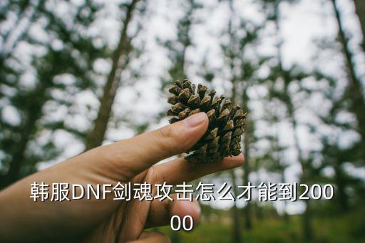 韩服DNF剑魂攻击怎么才能到20000