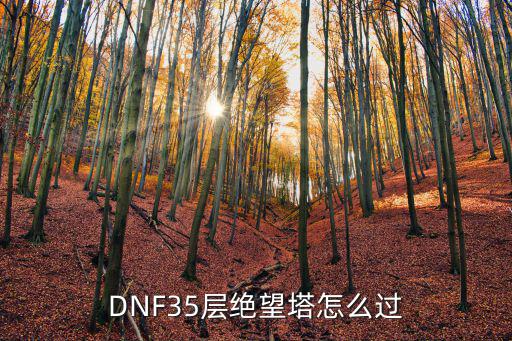 DNF35层绝望塔怎么过