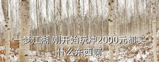 一梦江湖 刚开始玩冲2000元都买什么东西啊