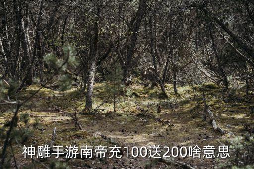 神雕手游南帝充100送200啥意思