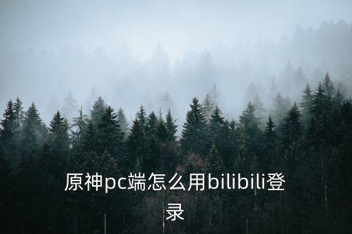 原神pc端怎么用bilibili登录