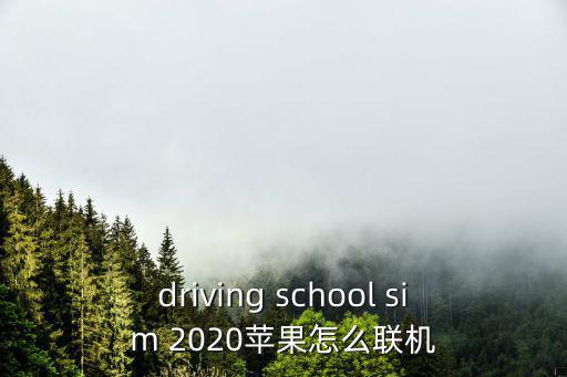 driving school sim 2020苹果怎么联机