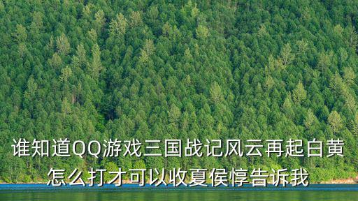 谁知道QQ游戏三国战记风云再起白黄怎么打才可以收夏侯惇告诉我