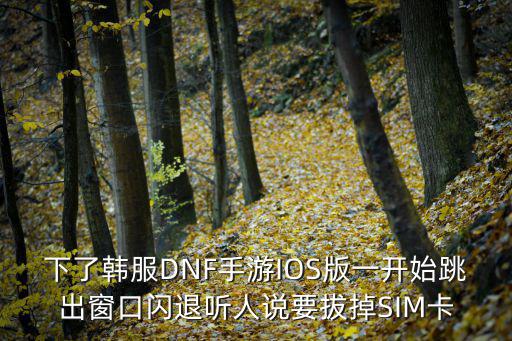 下了韩服DNF手游IOS版一开始跳出窗口闪退听人说要拔掉SIM卡