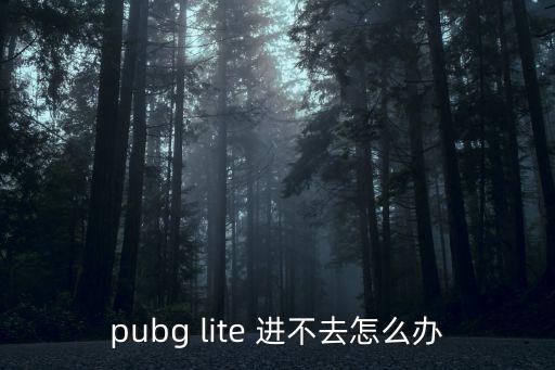 pubg lite 进不去怎么办